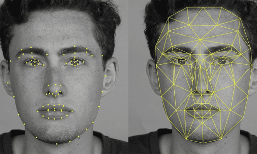 Face Analytics Face Analytics